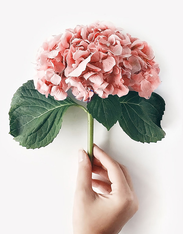 h-13-prod-9-gallery-1 a