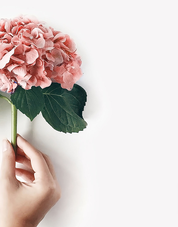 h-13-prod-9-gallery-2 a