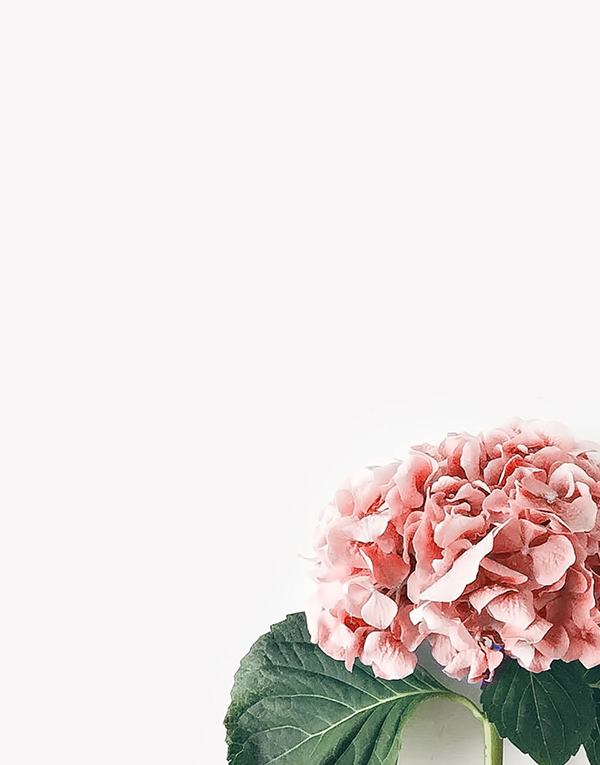 h-13-prod-9-gallery-3 a