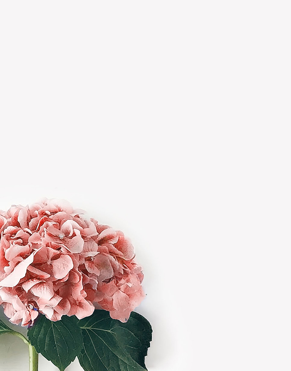 h-13-prod-9-gallery-4 a