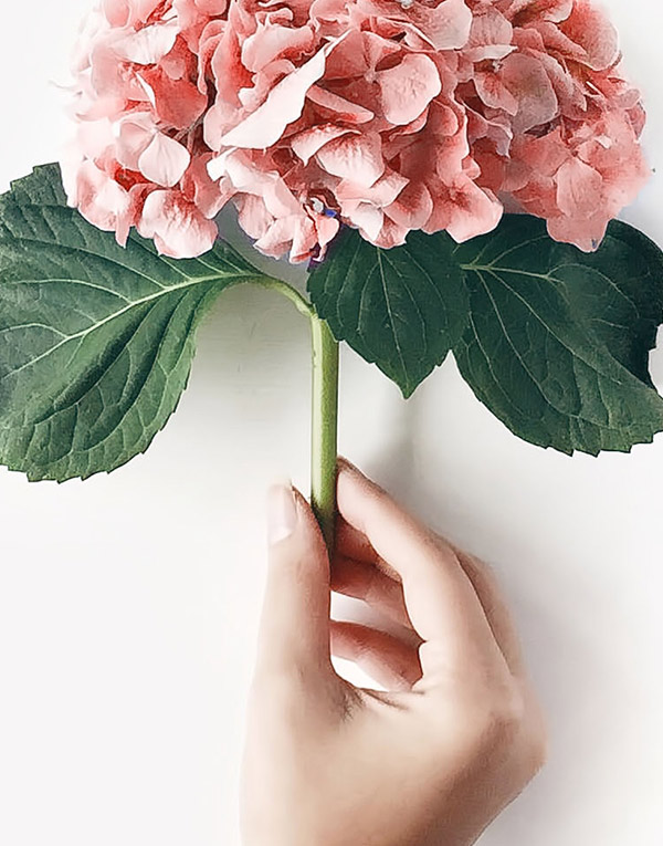 h-13-prod-9-gallery-5 a